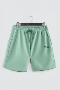 shorts-man-b-isolated-front-full-sage-l-10-adbc7676