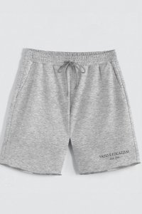 shorts-man-b-isolated-front-full-gray-l-04-0f37b72f